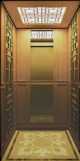 Ascensor de passatgers avançat