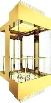 Luxury Observation Passenger Elevator